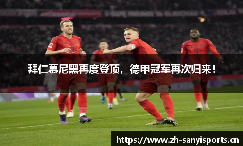 三亿体育