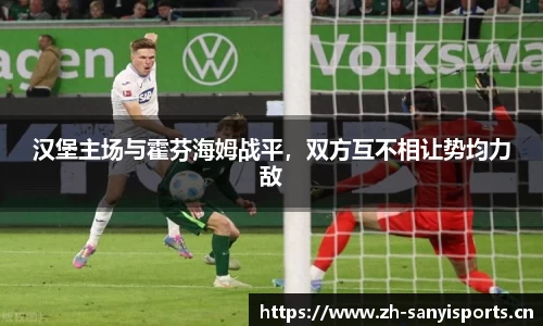 汉堡主场与霍芬海姆战平，双方互不相让势均力敌